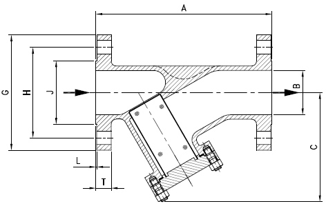 Y Type Strainer